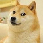 Ben Emslie - @doge_the_dog666 - Instagram