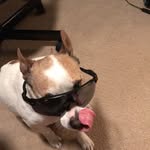 Ben Engel - @bengelll - Instagram