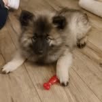 Ben Engelhardt - @ben_1234123231 - Instagram