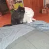 Benedikt Engelhardt - @benedikt.engelhar - TikTok