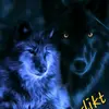 Benedikt Engelhardt - @benedikt_engelhardt - TikTok