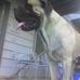 Ben Ensminger - Facebook