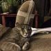 Ben Erwin - Facebook