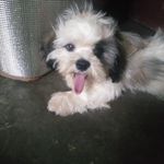 Ben Escano - @ben.escano - Instagram