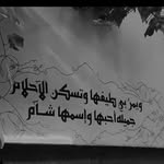 بــانــه | 𝓑𝓮𝓷𝓮 - @bene_sh_elbsatine - Instagram