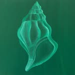 Ruth Ben-Nathan Eshel - @bennathaneshel - Instagram