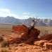 Ben Esparza - Facebook
