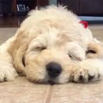 Ben Esposito - Facebook