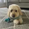 Ben Esposito - @benespo50 - TikTok