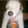bene_kin - @benetkin - TikTok