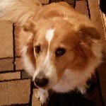 @ben_etter_ - Instagram