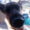 Ben Fair - @ben.fair - TikTok