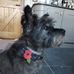 Ben Fairman - Facebook