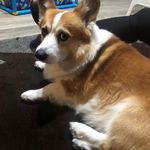 Ben fairman - @ben556640 - Instagram