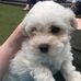 Ben Farrell - Facebook