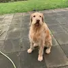 benfarren80 - @ben_oscar - TikTok