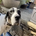 Ben Farrier - Facebook
