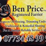 Ben Price Farrier Service - @benprice71 - Instagram