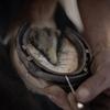BenTheFarrier - @benthefarrier - TikTok