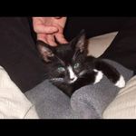 Ben Farrow - @ben.farroww - Instagram