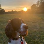 Ben Farrow - @benfarrow1010 - Instagram