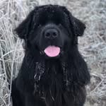 Ben Fear - @ben.fear - Instagram