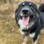 Benjamin Federmann - @federmannbenjamin - Instagram