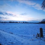 Tjorben Federmann - @federmanntjorben - Instagram