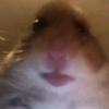 Ben F - @benfeely - TikTok