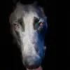benfelder306 - @benfelder306 - TikTok