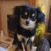 Ben Feltner - Facebook