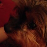 Bentley Fessler - @bentleyfessler - Instagram