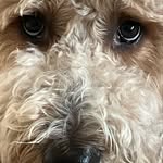 Ben fickas - @ben_fickas - Instagram