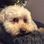 Ben Filer - @benfiler_priv - Instagram