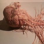 Ben Finegan - @benfinegan - Instagram