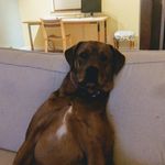 Ben Fishman - @f.s.wood.metal - Instagram