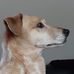 Bennett Flaherty - Facebook