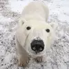florence_ben - @florence_ben - TikTok