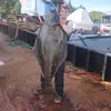 Ben Fowler - @ben.fowler02 - TikTok