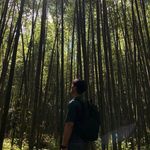 Ben Fong - @benfongsilver - Instagram