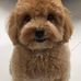 Ben Fong - Facebook