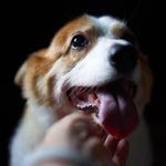 Ben Fong - @ben903020 - Instagram