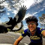 Ben Forbes - @benforbesmtb - Instagram