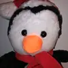 ben Fordham - @mrpingu87 - TikTok