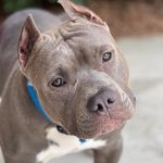 Ben Forehand - @ben4hand - Instagram