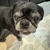 ben - @ben.fox0421 - TikTok