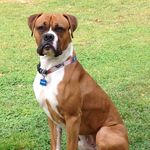 Bennett Fuqua - @benfuqua7 - Instagram