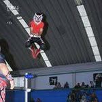 Tigre Negro Bengala - @bengalatigre - Instagram