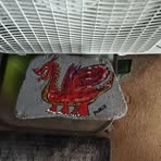 Ben Gaskill - Facebook