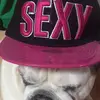 Ben_Geary - @ben_geary - TikTok